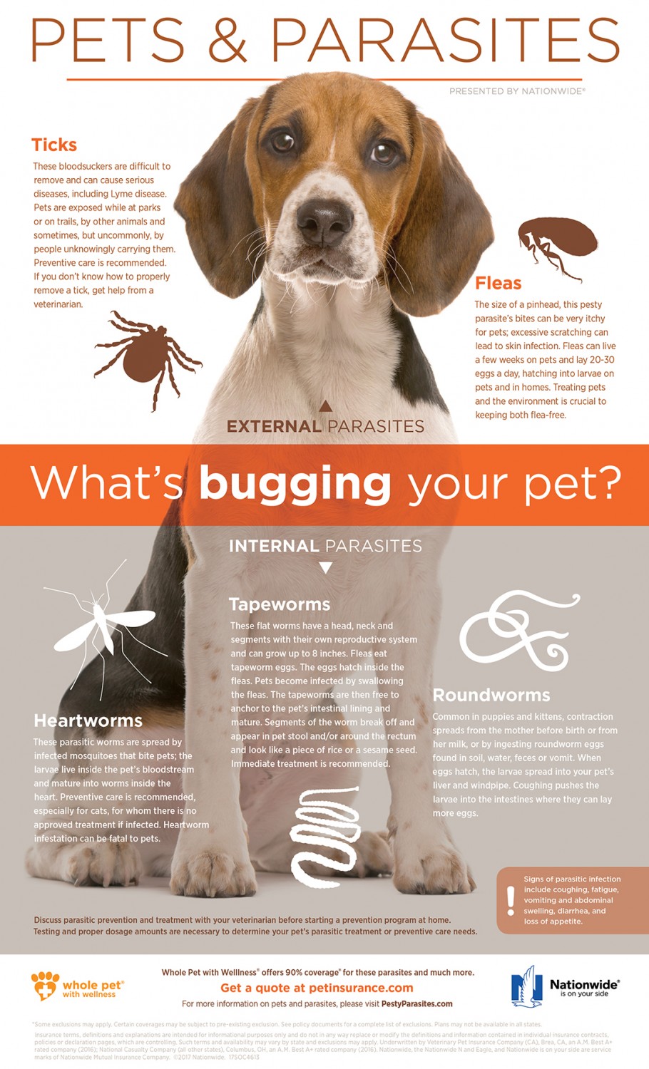 Parasites & Prevention Knapp Veterinary Hospital Columbus Ohio